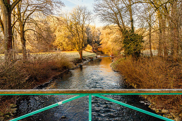 green metal bridge over Ilm river in park in Weimar in winter