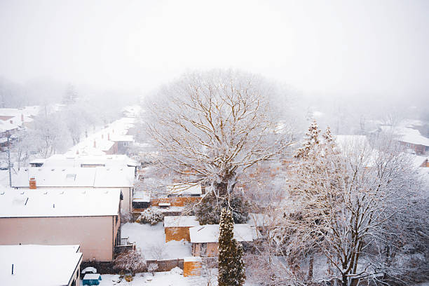 snowy winter in Toronto