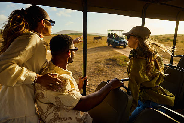 Three friends on an exciting safari adventure viewing wildlife in south africa