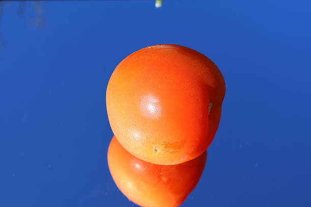 Red tomato: A close-up of a red tomato is presented on a mirror that reflects both the tiny water droplet-filled red tomatoes and the clear, deep blue sky. Florida, December 28, 2025