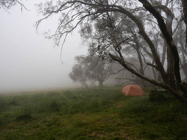 istock Camping in foggy trees 2254807056