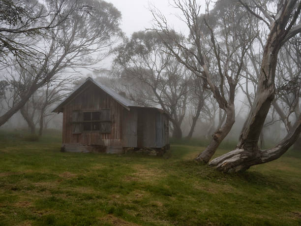 The old cattleman's hut at JB Plain in fog , Hotham