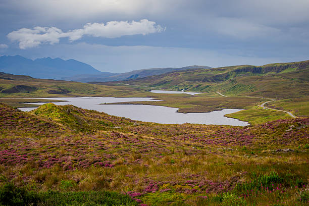 istock Scottish Highlands wilderness landscape with lakes and heather 2254808452