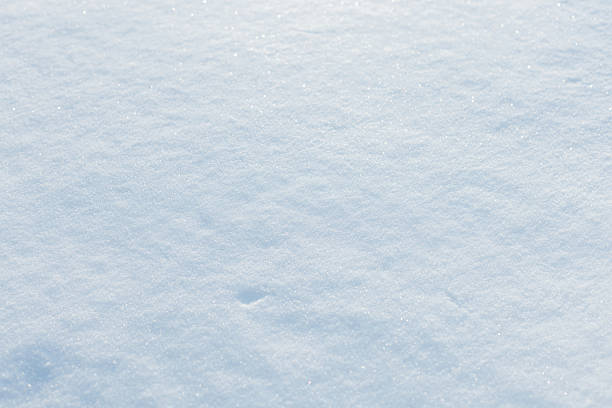 High-angle view of a pristine white snow surface. The texture is sparkling and crystalline under bright natural light, featuring soft blue shadows. Ideal for winter backgrounds and holiday designs