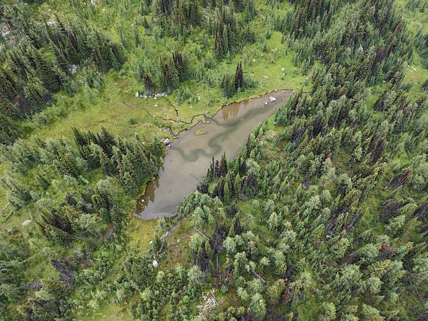 istock British Columbia Backcountry 2025 2254813256