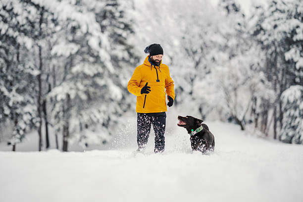 Man in a yellow jacket and his black dog enjoying outdoor exercise and companionship while running and playing together in deep snow with a snowy forest background during winter