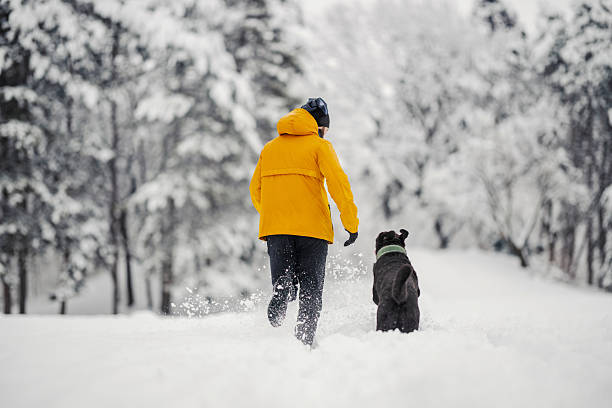 istock Man running with dog in snowy winter forest 2254817166