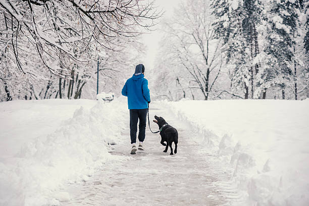 Man and dog enjoying an outdoor run together through a snow-covered park on a cold winter day, showcasing fitness, companionship, and a healthy lifestyle
