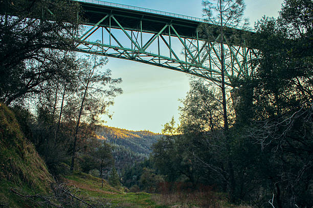 The massive metal bridge structure rises above green trees and mountains, creating a striking contrast between engineering and nature