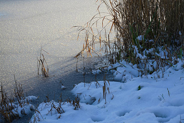 A snowflake-shaped hole in the ice that has since frozen back over.