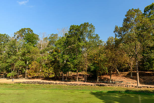 A view of the moss-covered ruins of Beng Mealea temple under light rainfall. Tree roots have overtaken the ancient Khmer stones, while the surrounding jungle appears misty and wet, adding a haunting mood to this remote historical site.