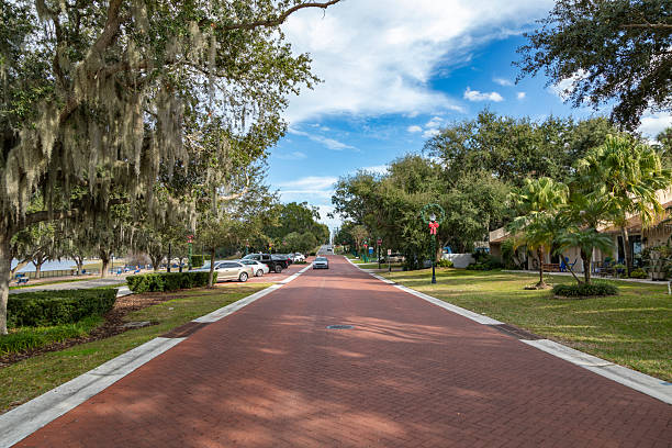 istock Brick-Paved Street Lined with Oak Trees in Clermont, Florida 2254824855