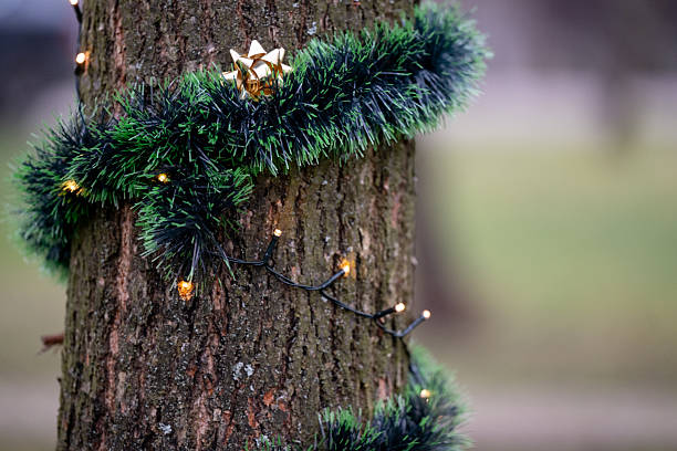 A tree trunk is wrapped in green Christmas garland, warm string lights, and topped with a small golden bow. The festive decoration stands out against the muted natural background, blending holiday cheer with outdoor simplicity. The image evokes seasonal warmth and creative celebration.