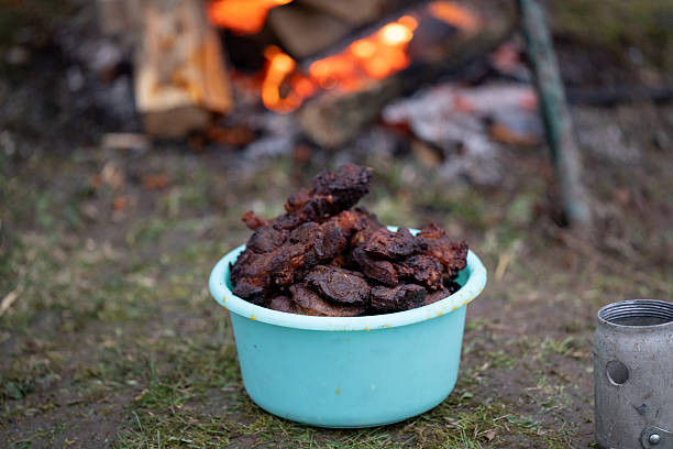 A light blue plastic bowl filled with grilled meat sits on the grass in front of an open fire with glowing embers. The charred and crispy texture of the meat suggests outdoor cooking or a rustic barbecue. The setting evokes a sense of warmth, community, and traditional outdoor gatherings.