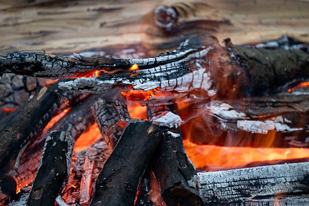 Close-up view of firewood burning intensely, with glowing embers, charred wood, and rising smoke. The textures of the cracked bark and glowing coals convey warmth and raw energy. The image captures the elemental power and comforting heat of an open fire.