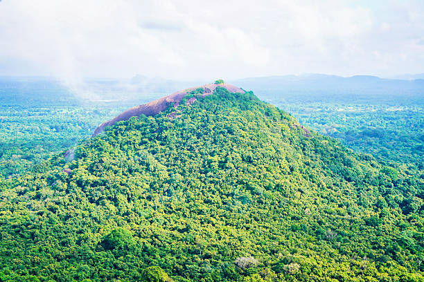 A bird's-eye view of rainforests, mountains and plantations. The sun is going down, the distant forests are in haze and fog.