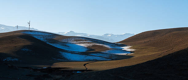 The withered yellow grassland after snowfall