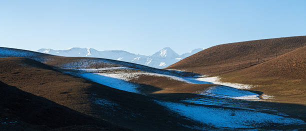 The withered yellow grassland after snowfall
