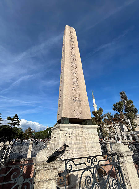Istanbul, Turkey - September 25: The crow is posing on Obelisk of Theodosius in Sultanahmet Square on September 25, 2025 in Istanbul, Turkey.