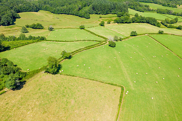 istock Aerial view of geometric fields with hay bales 2254835258