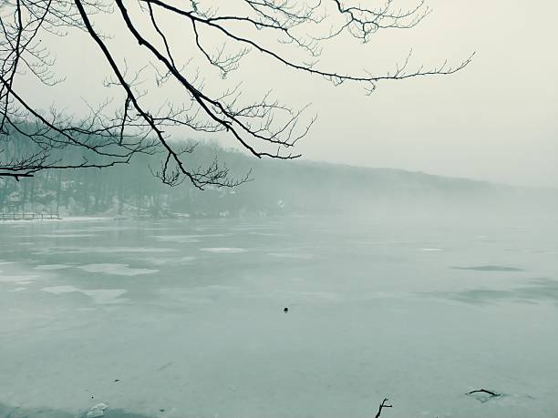 A close-up winter scene of the dam on the Kupa River showing thick river mist rising off the warm water over the weir and heavily frosted bank vegetation