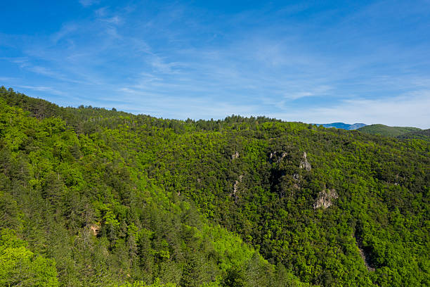 istock Vast green forested hills under blue sky 2254836963