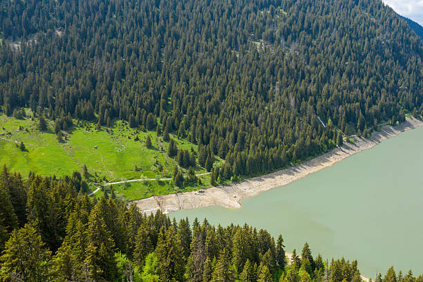 Dense evergreen forest covers steep slopes above a calm green reservoir, with a patch of vibrant grassland adding contrast near Barrage de Saint Guerin.