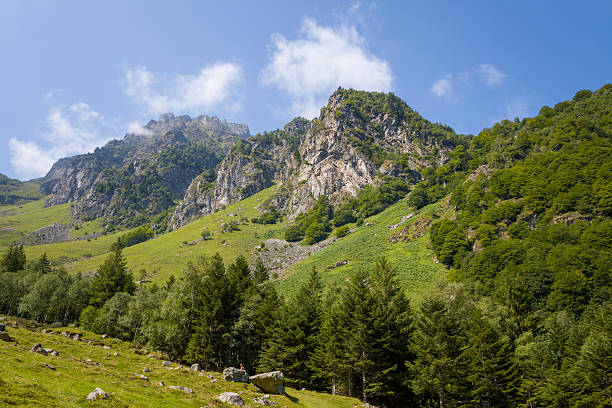 istock Green mountain slope and rocky peaks in Pyrenees 2254841403