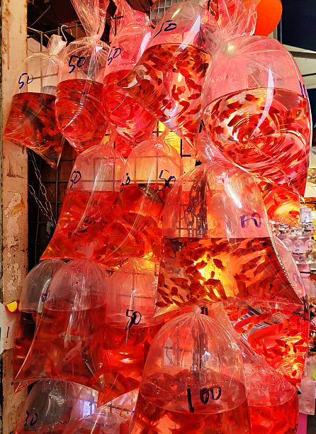 Tung Choi Street
