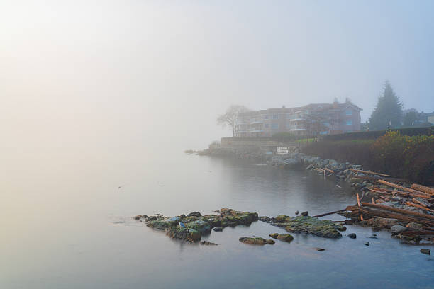 georgeous and mysterious foggy weather . High quality photo