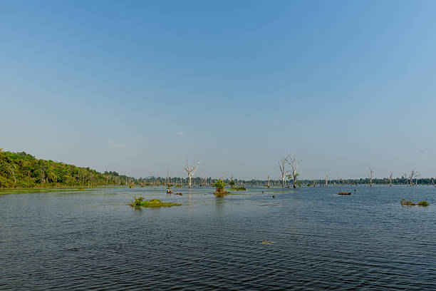 istock Calm lake with dead trees near Angkor temples 2254844056
