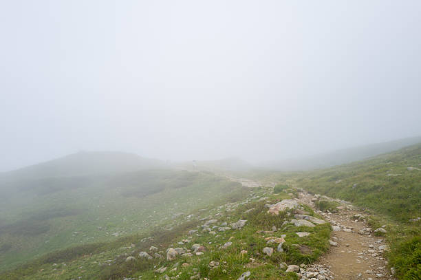 A rugged dirt path lined with stones winds through grassy alpine slopes, fading into dense, pale fog that obscures the horizon and softens the landscape.