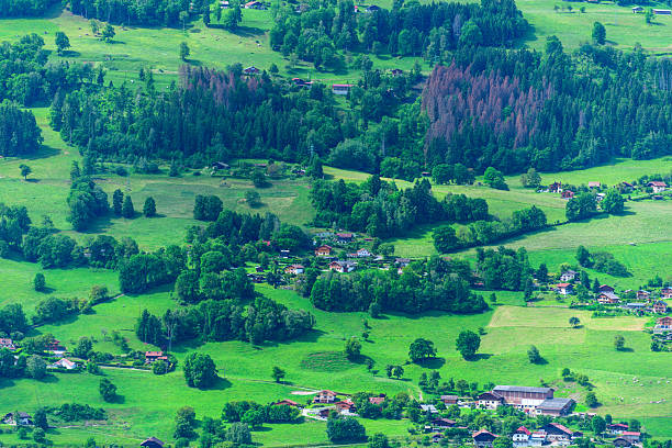 Elevated view of scattered rural houses and farm buildings surrounded by vibrant green meadows and dense woodland on rolling hills near Passy, Haute-Savoie, under bright daylight.