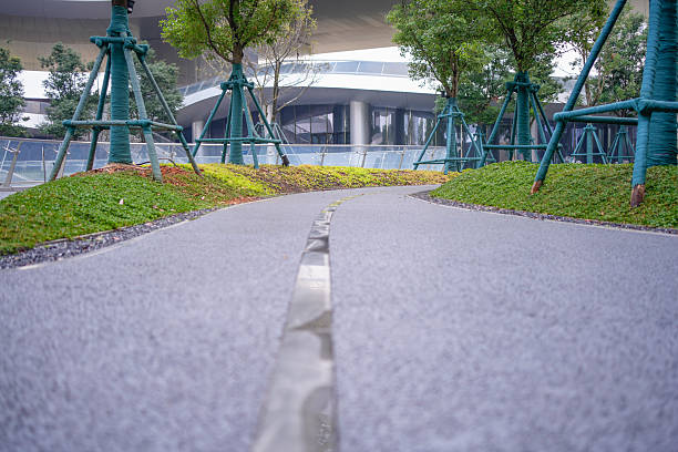 Modern architectural landscaping: The spatial integration of pergolas for tree protection and winding walkways