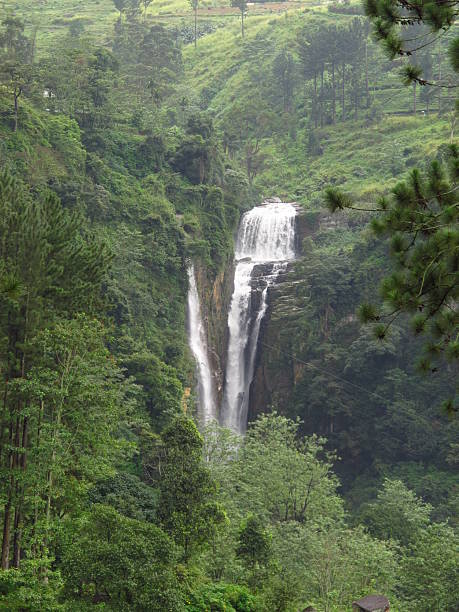 istock The waterfall, Nuwara Eliya, Sri Lanka 2254850929