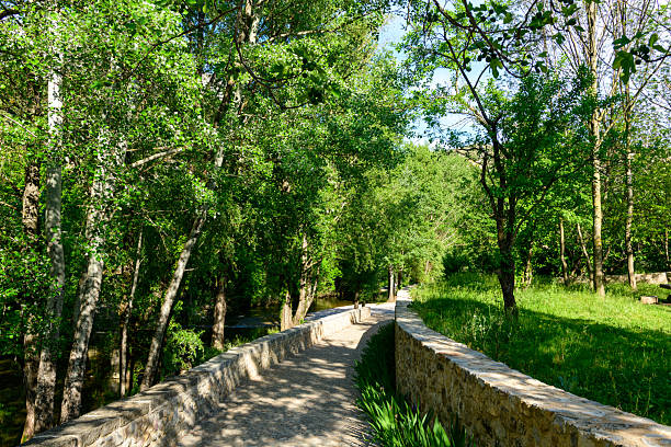 A winding stone path bordered by low walls leads through dense green trees and sunlit grass in a peaceful park setting in Navacelles. Dappled sunlight creates vibrant patterns on the walkway and foliage.