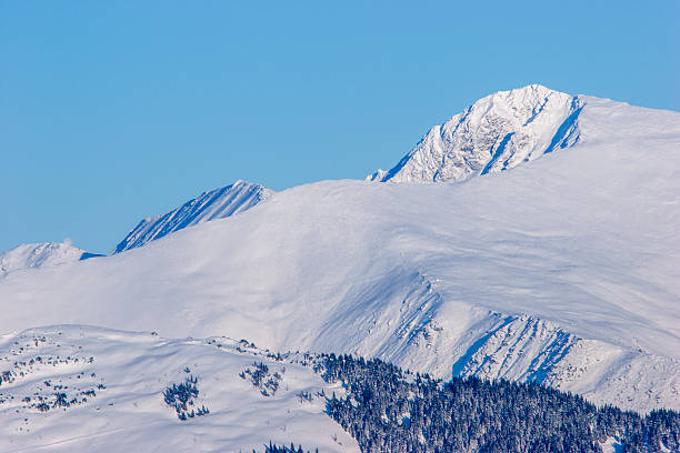 A landscape shot of a massive, snow-blanketed mountain range beneath a brilliant, deep blue sky. The foreground highlights the unique wind-blown textures and ripples in the snow, leading the viewer's eye toward several sharp, sunlit peaks. The image evokes a sense of cold, quiet majesty and the vastness of the alpine wilderness, perfect for travel, adventure, and nature-themed projects.