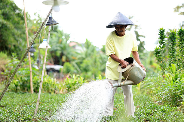 Old Asian Retired Men Working on His Small Flower Farm