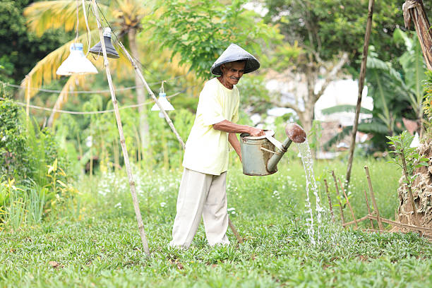 Old Asian Retired Men Working on His Small Flower Farm