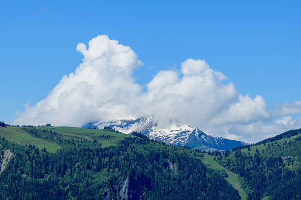 Mont Joly's snow-capped summit rises above dense green forests and rolling meadows, while towering cumulus clouds billow across a vivid blue sky. Bright sunlight enhances the fresh spring landscape and crisp alpine textures.