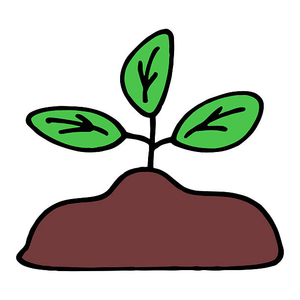 Hand Drawn Illustration of Young Plant Growing from Soil. ​Simple Green Sprout Icon for Eco Friendly and Growth Concept. ​Minimalist Doodle of Small Tree Seedling on White Background. ​Ecology Concept Illustration of New Life Plant Growing in Ground