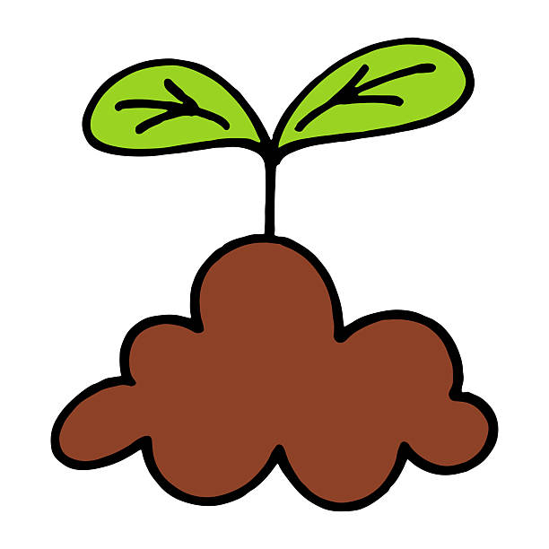 Hand Drawn Illustration of Young Plant Growing from Soil. ​Simple Green Sprout Icon for Eco Friendly and Growth Concept. ​Minimalist Doodle of Small Tree Seedling on White Background. ​Ecology Concept Illustration of New Life Plant Growing in Ground