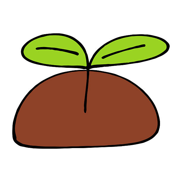 Hand Drawn Illustration of Young Plant Growing from Soil. ​Simple Green Sprout Icon for Eco Friendly and Growth Concept. ​Minimalist Doodle of Small Tree Seedling on White Background. ​Ecology Concept Illustration of New Life Plant Growing in Ground