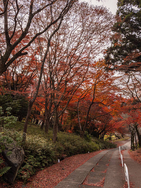istock Japanese majestic places 2254857808