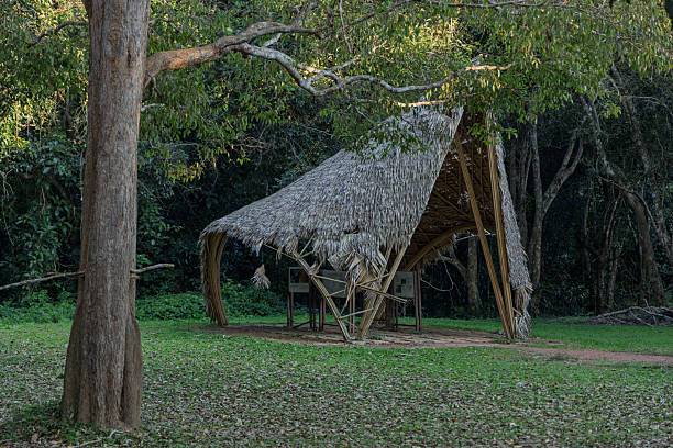 istock Rustic bamboo hut with thatched roof in Khao Yai forest Thailand 2254858612