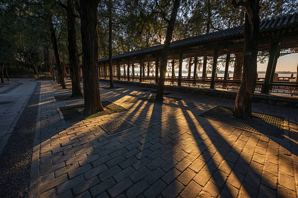 Beijing, China - 6th January 2026 - First Light Along the Imperial Walkway