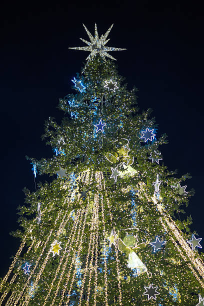 istock Illuminated Christmas Tree with Star Topper 2254863990
