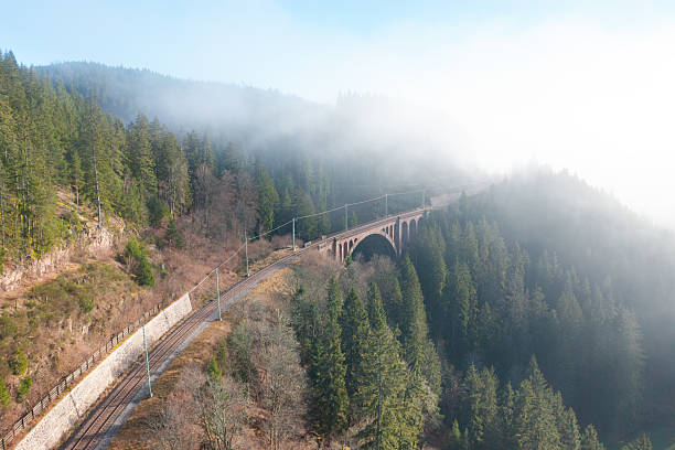 Aerial view of a railway line leading to a historic stone viaduct surrounded by dense evergreen forest and morning fog. Misty atmosphere with soft sunlight creating a mysterious mood. Scenic landscape with train infrastructure, transportation route and nature in harmony