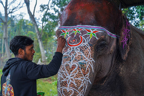 Portrait of painted elephant walking up to Amber Fort near Jaipur, Rajasthan, India. Elephant rides are popular tourist attraction in Amber Fort.