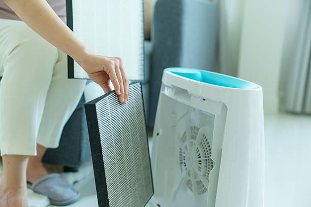 istock Woman changing filter of home air purifier. 2254871040